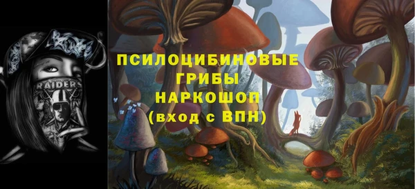 таблы Бронницы